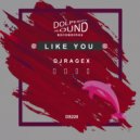DJ Ragex - Like You