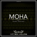 Ronny Santana - Down (Original Mix)