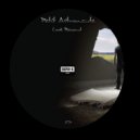Petit Astronaute - Northern Lights (Van Morph Remix)