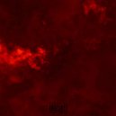 DarkwooD - Чёрным по белому