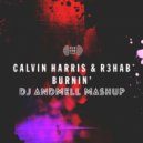 Calvin Harris & R3hab vs. Global Deejays - Burnin' Of San Francisco