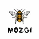 gamechangerBOO - MOZGI