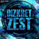 Dizkret - Disorder (Original Mix)