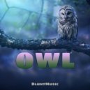 BluntMusic - OWL (Radio Edit)