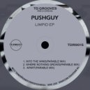 Pushguy - Into The Wind (Original mix)