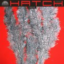Hatch - Trunk