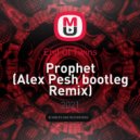 End Of Twins - Prophet