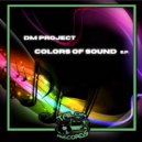 DM Project & Diego Burroni & Marco Gobbi - Basswerk