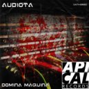 Audiota - Imbecil Digital
