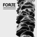 Expander - How Forte Are you (V i L Remix)