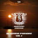 Flame D feat. Tasha Starkova - We Are Angels (Rework Mix)