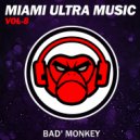 Ironic Project - This is Melody (Original Mix)