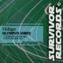 Vildtiger - Twist (Original Mix)