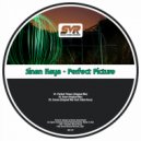 Sinan Kaya - Perfect Picture (Original Mix)