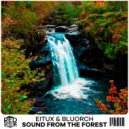 Eitux & Bluorch - Sound From The Forest (Original Mix)