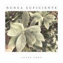 Josue Lora - Nunca Suficiente
