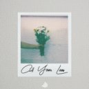 David Basseliz - All Your Love ()