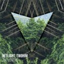 Netlight & TWOHIM - The Loners (Original Mix)