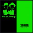 Voices - Voices In My Mind