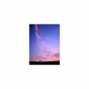 Mindfulness Healing BGM Project - Moment and Detox