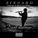 Dave Liebman & Vic Juris & Tony Marino & Jamey Haddad & Café - Zingaro (Portrait in Black & White) (feat. Vic Juris, Tony Marino, Jamey Haddad & Café) (Original Mix)
