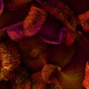 Granite Shadow - Turning Inward B (Original Mix)