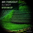 Mr. Thruout - Site Funk (Original Mix)
