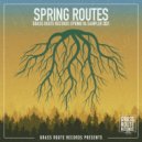 AR38 - Skylines