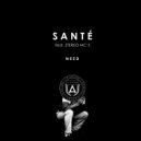 Santé feat. Stereo MC's - Need