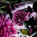 kiimmy & NeverDvnk - Мимозы (prod. by Lorenz)