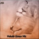 AB - Melodic House Mix 01