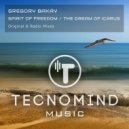 Gregory Bakay - The Dream of Icarus (Original Mix)