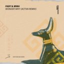 Themina - Wonder Why (Activa Extended Remix)