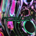 Now O Later - Without You