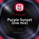 N.Portugal - Purple Sunset (live mix)