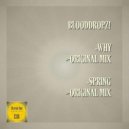 BloodDropz! - Spring (Original Mix)