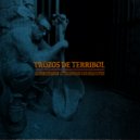 C.Terrible & Trozos DE Groove - Trozos de Terribol (Original Mix)