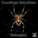 Domingo Caballero - Entangled