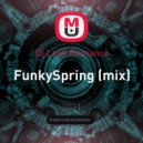 Dj LexX Romanov - FunkySpring