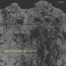 José Soberanes - Ausentes