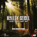Halley Seidel  - Acid The Limit