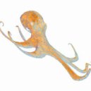 Chris Lake & Armand Van Helden - Work!