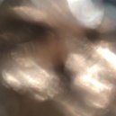 lolka401 - Поводы