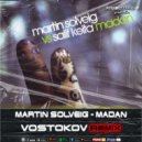 Martin Solveig - Madan (Vostokov Remix)