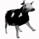 Cypis - Dancing Polish Cow