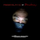 Mean ideal - Assimilate or Destroy (Original Mix)