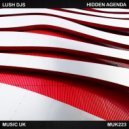 Lush Djs Feat. Boskii - Never Run Away