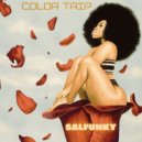 Color Trip - Salfunky (Original Mix)