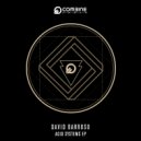 David Barroso - Acid Systems
