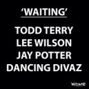 Todd Terry, Lee Wilson & Jay Potter Ft. Dancing Divaz - Waiting